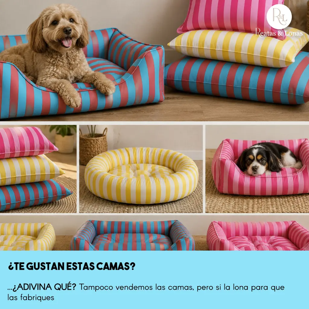 Mesa de trabajo 2.webp